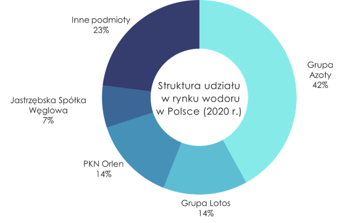 Struktura udziału w rynku wodoru w Polsce w 2020 roku. Grafika: Ministerstwo klimatu i środowiska